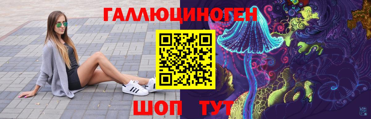 Торжок  Псилоцибиновые грибы Cubensis  Вход с VPN 