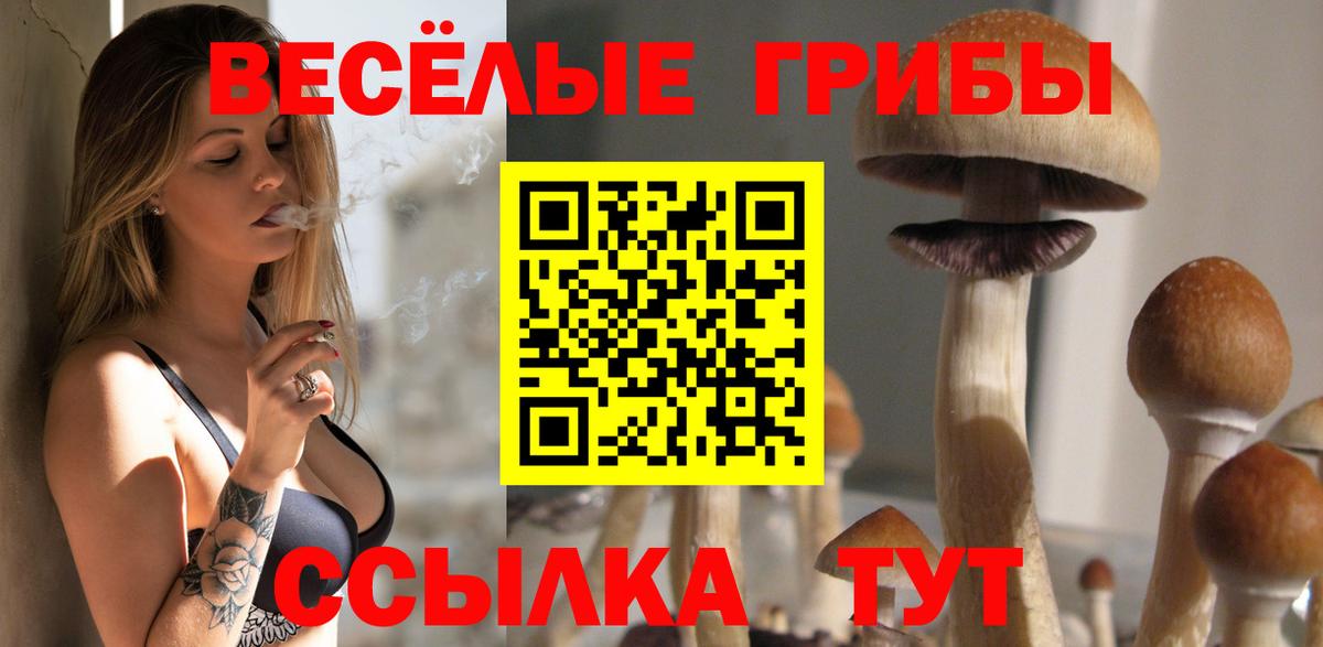 Галлюциногенные грибы мухоморы Торжок