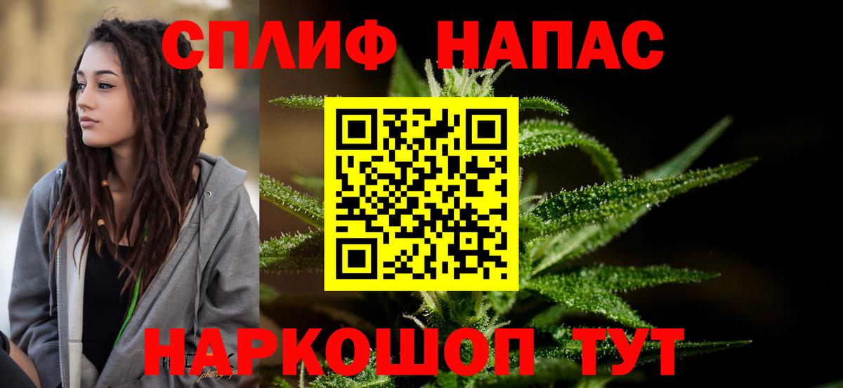 Бошки Шишки MAZAR Торжок